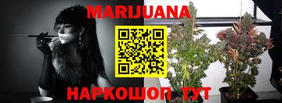 ешки Новозыбков