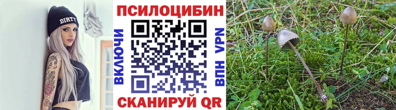 продажа наркотиков  Нижний Тагил  Галлюциногенные грибы ЛСД 